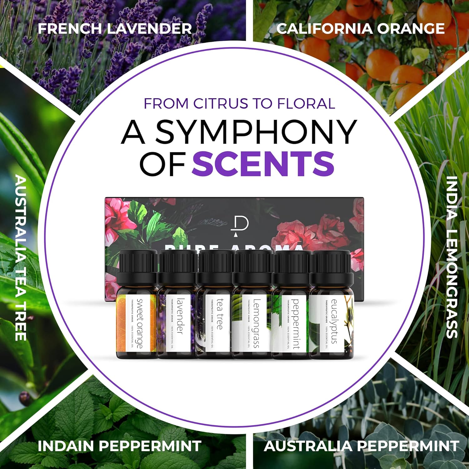 Pure Aroma Essential Oils Set – 6 Pack (10 ml Each)